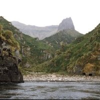 Gough and Inaccessible Islands