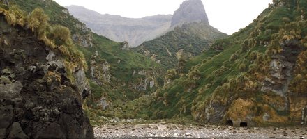 Gough and Inaccessible Islands