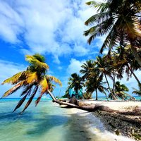 Belize Barrier Reef by Roman Bruehwiler