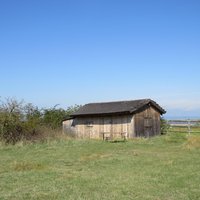 Fertö/Neusiedlersee by Els Slots