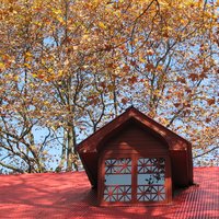 Lushan National Park