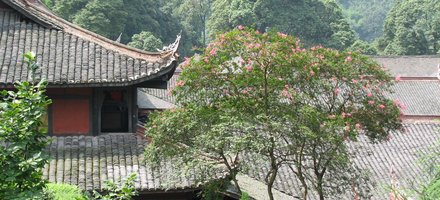 Mount Emei, including Leshan Giant Buddha