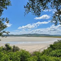 Ichkeul National Park by Shandos Cleaver