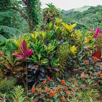 Morne Trois Pitons by Luis Filipe Gaspar