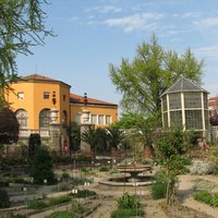 Botanical Garden, Padua by Els Slots