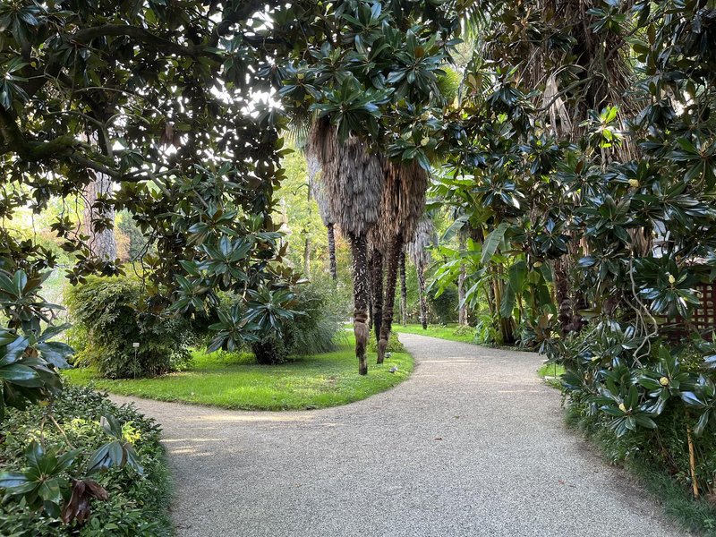 Botanical Garden, Padua by Els Slots