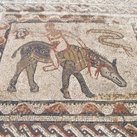 Volubilis by Els Slots