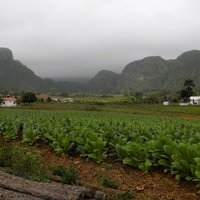 Viñales Valley
