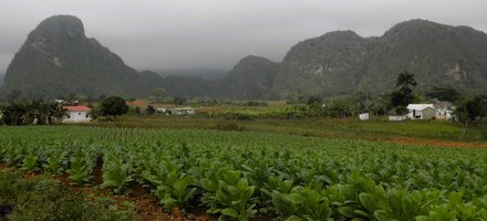 Viñales Valley
