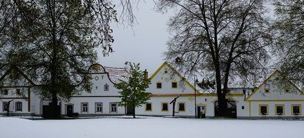 Holasovice