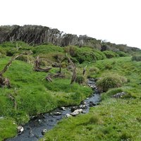 Sub-Antarctic Islands