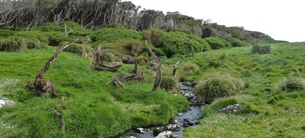 Sub-Antarctic Islands