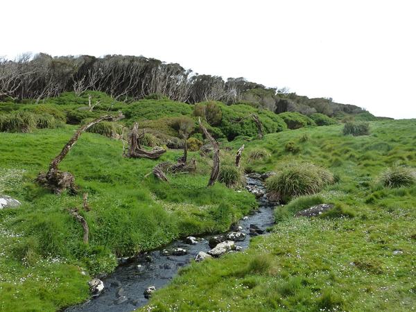 Sub-Antarctic Islands by Roman Bruehwiler