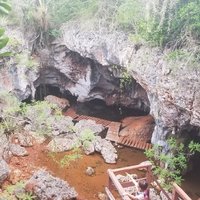 Desembarco del Granma National Park by Zoë Sheng