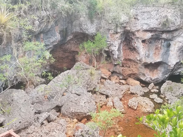 Desembarco del Granma National Park by Zoë Sheng