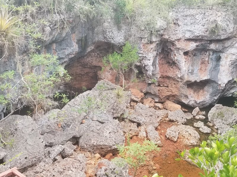 Desembarco del Granma National Park by Zoë Sheng