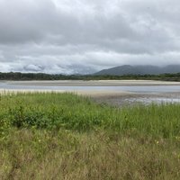 Atlantic Forest South-East