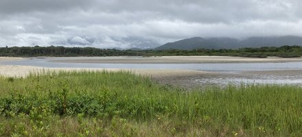 Atlantic Forest South-East