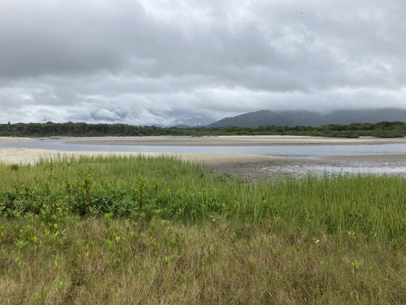 Atlantic Forest South-East by Els Slots