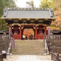 Nikko by Carlo Sarion