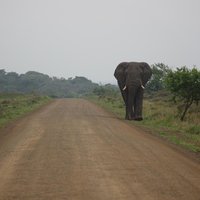 iSimangaliso Wetland Park