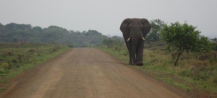 iSimangaliso Wetland Park – Maputo NP