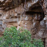 Fossil Hominid Sites by Els Slots
