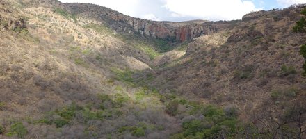 Fossil Hominid Sites