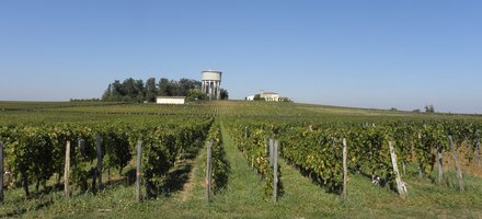 Saint-Emilion