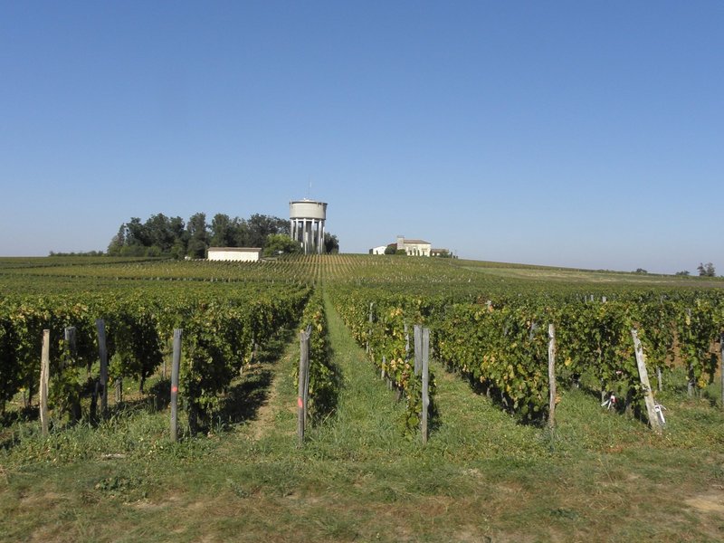 Saint-Emilion by Els Slots