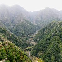 Laurisilva of Madeira by Solivagant