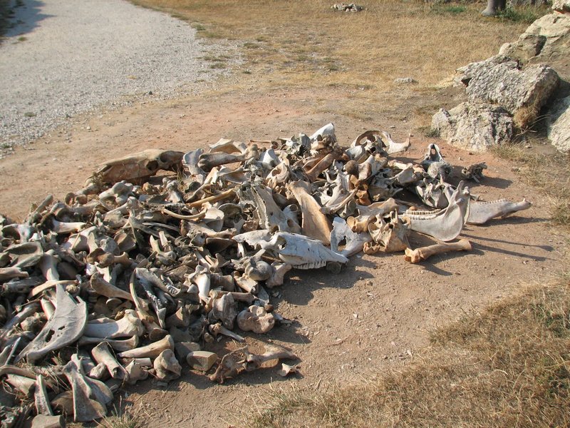 Atapuerca by Els Slots