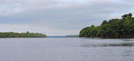 Central Amazon Conservation Complex