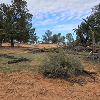 Willandra: Shorewalk