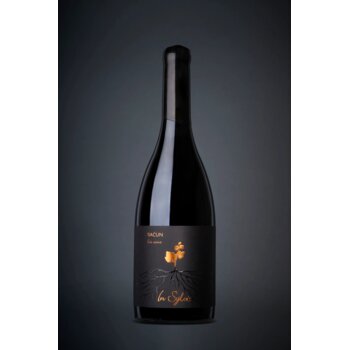 Slika In Sylvis Teran Baćun 2022