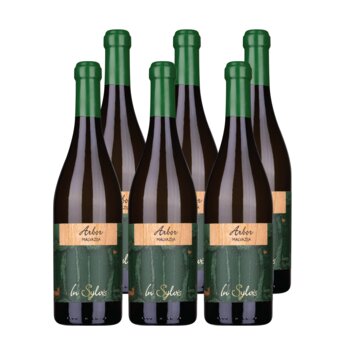 Slika In Sylvis Arbor Malvazija 2022