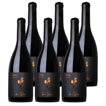 Slika In Sylvis Teran Baćun 2022