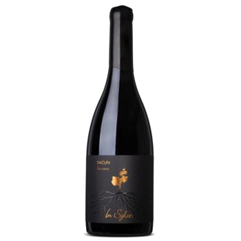 Slika In Sylvis Teran Baćun 2022