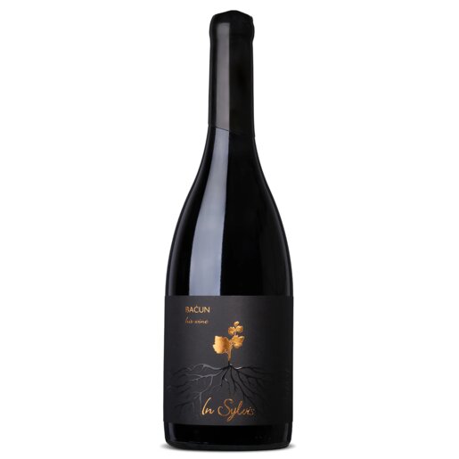 Slika In Sylvis Teran Baćun 2022