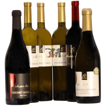 Slika Brčić Winemaker’s Selection pack