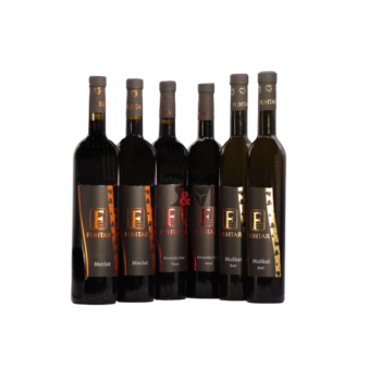 Slika Fuhtar Winemaker’s Selection pack