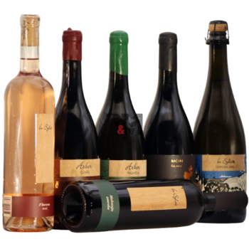 Slika In Sylvis Winemaker’s Selection pack