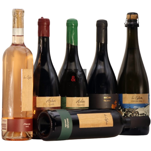 Slika In Sylvis Winemaker’s Selection pack
