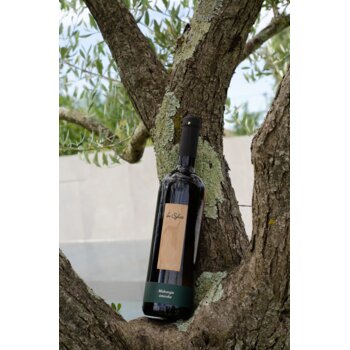 Slika In Sylvis Malvazija 2024