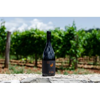 Slika In Sylvis Teran Baćun 2022