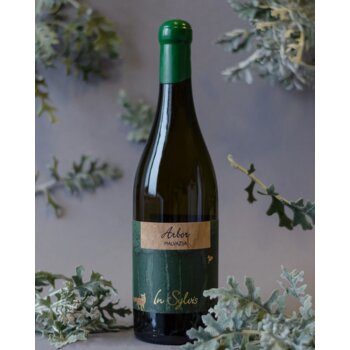 Slika In Sylvis Arbor Malvazija 2022