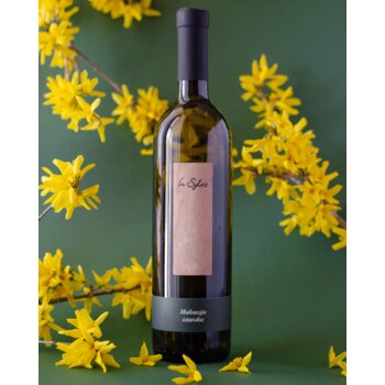 Slika In Sylvis Malvazija 2024