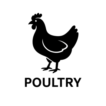 poultry