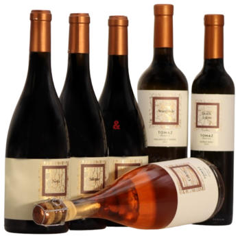 Slika Tomaz Winemaker’s Selection pack