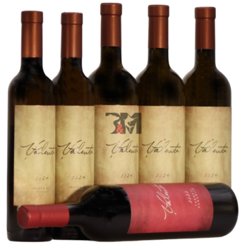 Slika Valenta Winemaker’s Selection pack